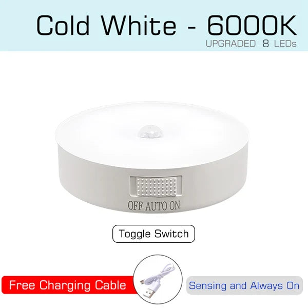 Motion Sensor Light