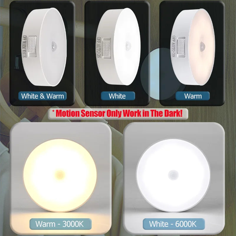 Motion Sensor Light