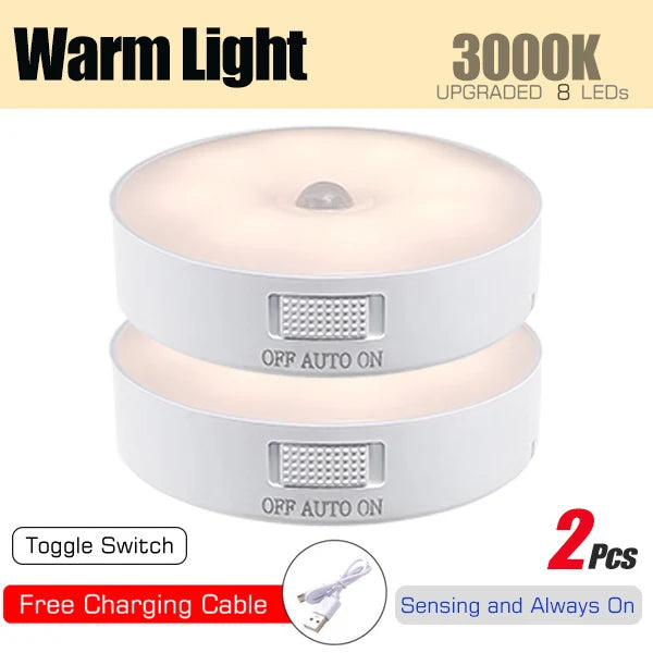Motion Sensor Light