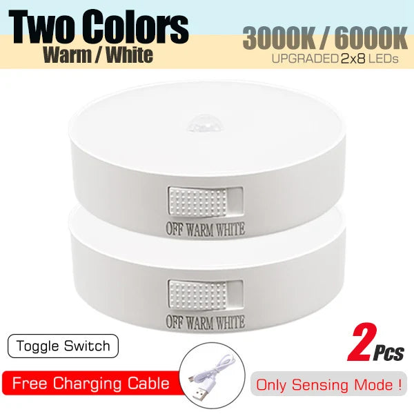 Motion Sensor Light