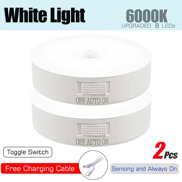 Motion Sensor Light