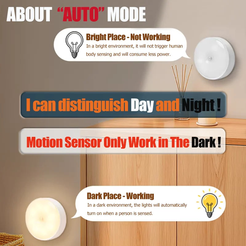 Motion Sensor Light
