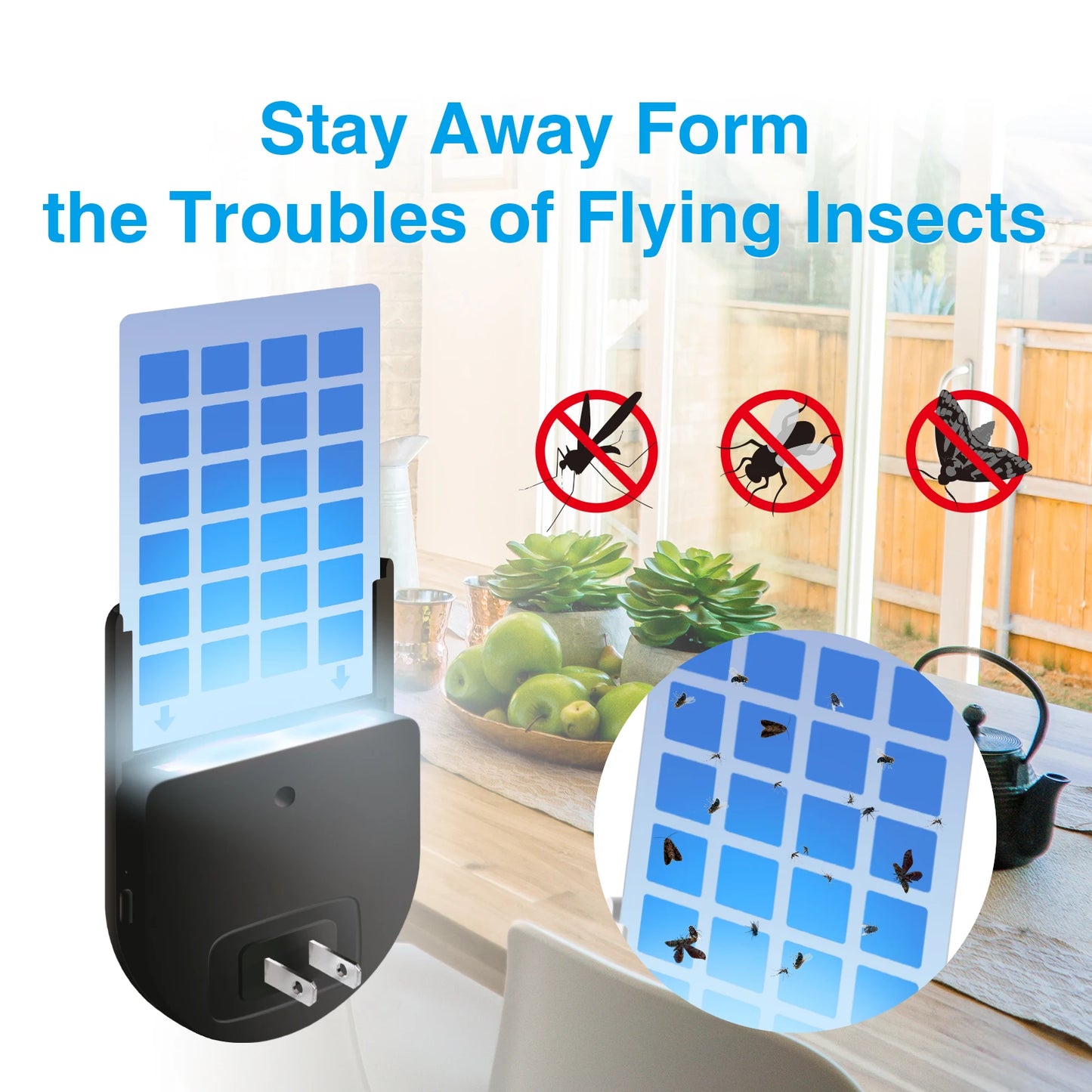 Gnat Trap