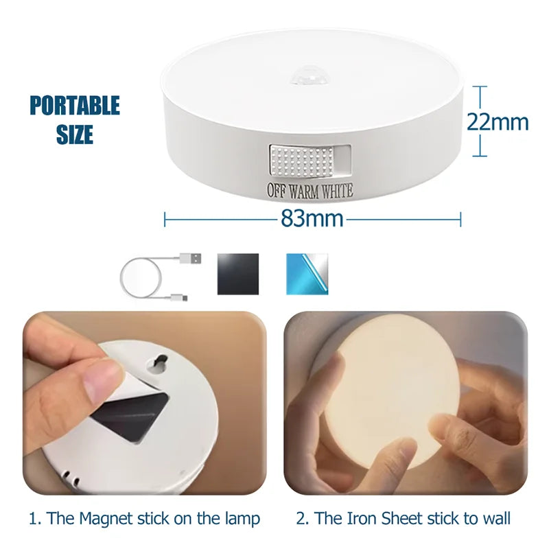 Motion Sensor Light